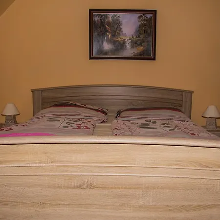 Restaurace A Pension Prvni Mlyn Chomutov-3