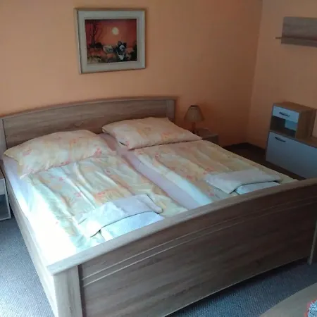 Restaurace A Pension Prvni Mlyn Chomutov-2